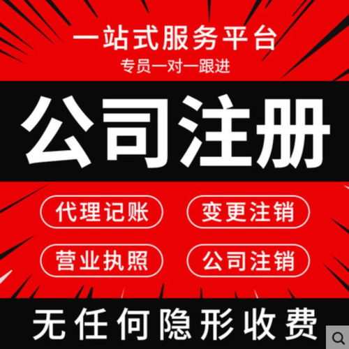 上海普陀區專業執照代辦與代理記賬服務 高效便捷，價格優惠